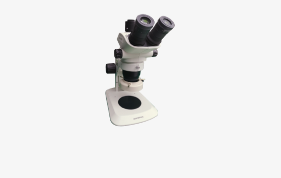 Stereo Microscope Zoom